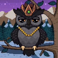 Night Owls #1286
