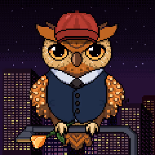 Night Owls Official