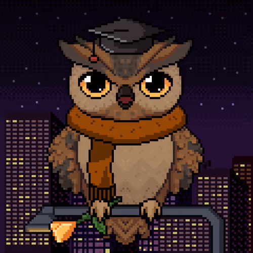 Night Owls Official