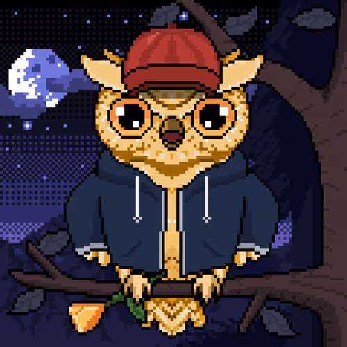 Night Owls Official