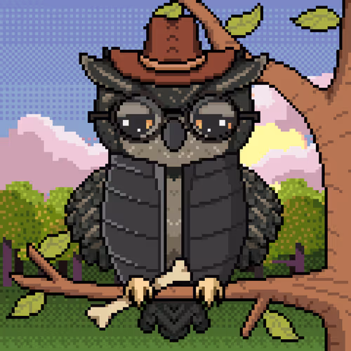 Night Owls Official
