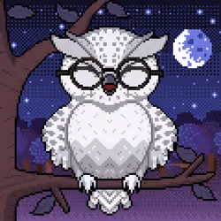 Night Owls #1486