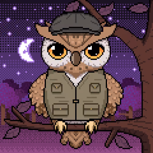 Night Owls #1468