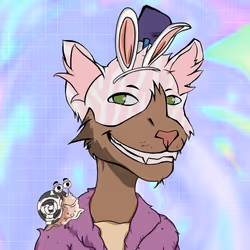 Kidd Cat #234