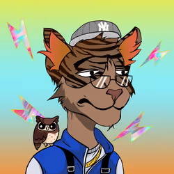 Kidd Cat #292