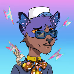 Kidd Cat #343
