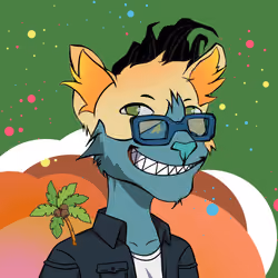 Kidd Cat #224