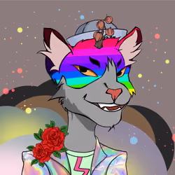 Kidd Cat #315
