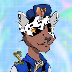 Kidd Cat #312