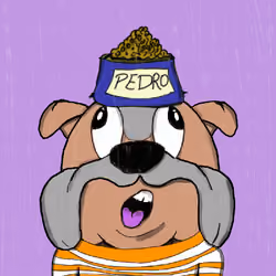 A day with Pedro #6037