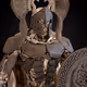1061