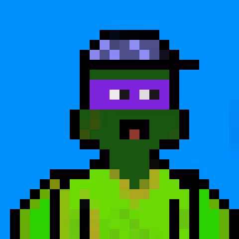 Block Turtles 1