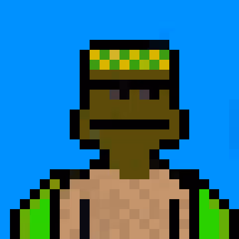 Block Turtles 1