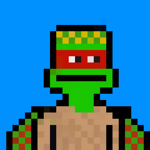 Block Turtles 1