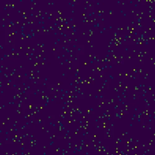Zoo Of Neural Automata