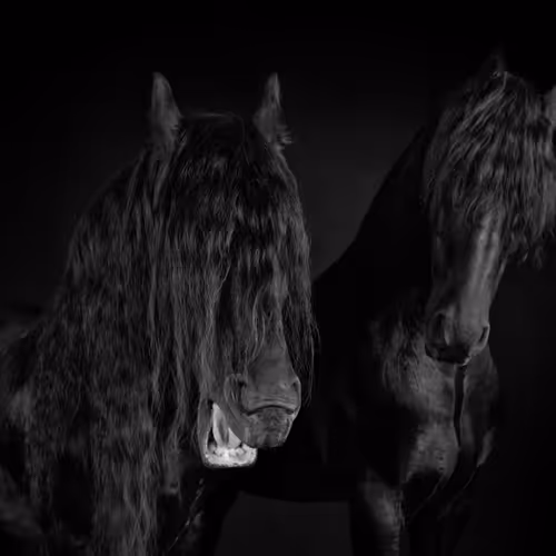 Equine V2