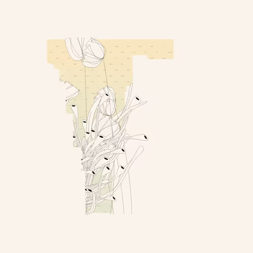 Item #1895471415479101141617488280575446737837854081 Media