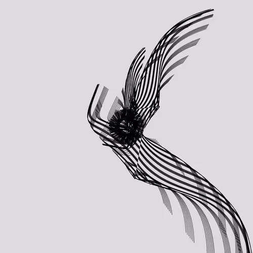 Anatomy Of A Rabbit But Bird By Iskra Velitchkova