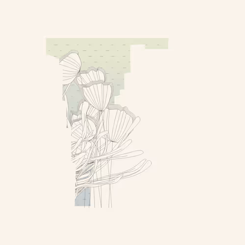 Item #1895471415479101141617488280575446737837854087 Media