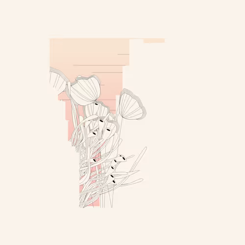 Item #1895471415479101141617488280575446737837854097 Media