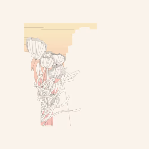 Item #1895471415479101141617488280575446737837854088 Media