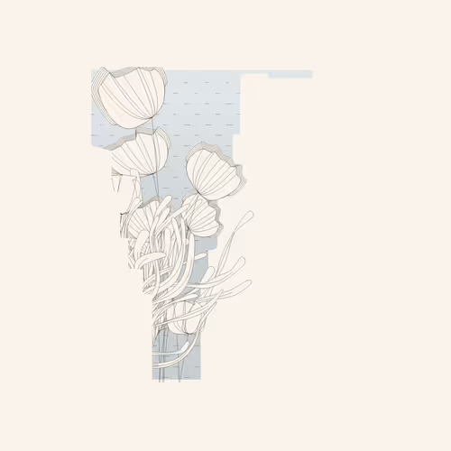 Item #1895471415479101141617488280575446737837854095 Media