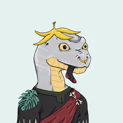 251