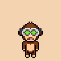 Cool Monkes Trainer #2344