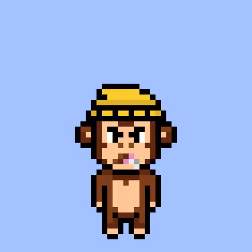 Cool Monkes Trainer #3888