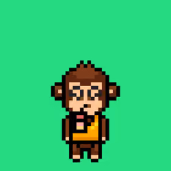 Cool Monkes Trainer #60