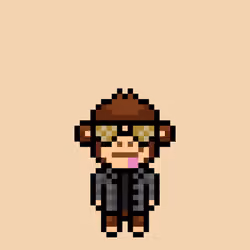 Cool Monkes Trainer #2739