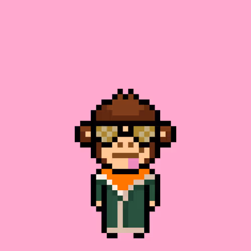 Cool Monkes Trainer #8591