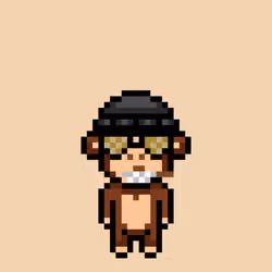 Cool Monkes Trainer #1078