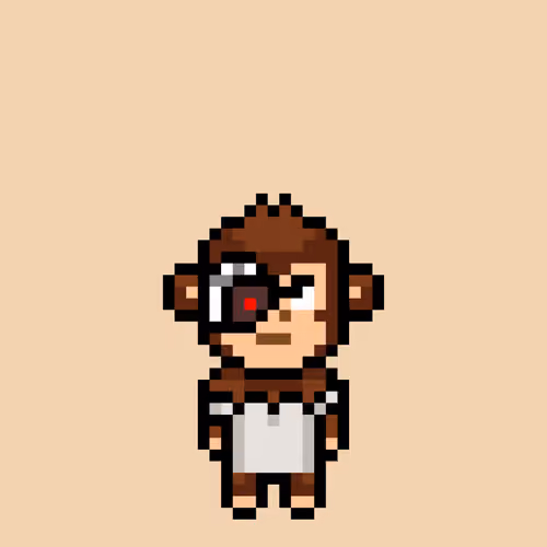 Cool Monkes Trainer #2468