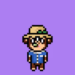 Cool Monkes Trainer #9566