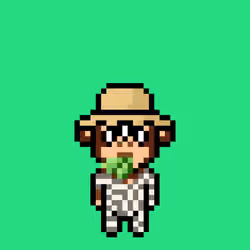 Cool Monkes Trainer #6077