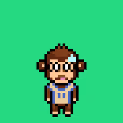 Cool Monkes Trainer #603