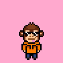 Cool Monkes Trainer #8038