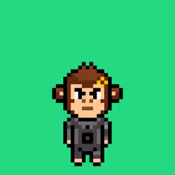 Cool Monkes Trainer #6119