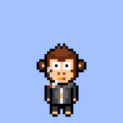 Cool Monkes Trainer #3191