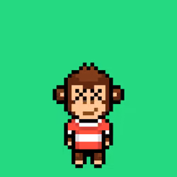 Cool Monkes Trainer #5356