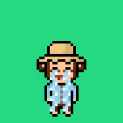 Cool Monkes Trainer #5562