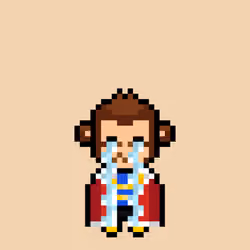 Cool Monkes Trainer #2082