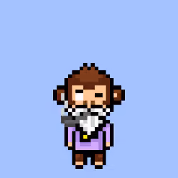 Cool Monkes Trainer #3312