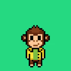 Cool Monkes Trainer #5021