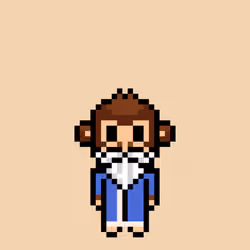 Cool Monkes Trainer #1447