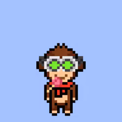 Cool Monkes Trainer #3870