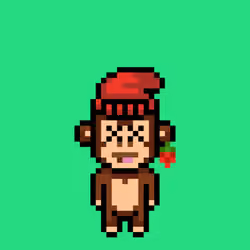 Cool Monkes Trainer #574