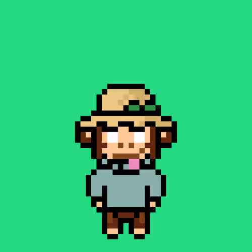 Cool Monkes Trainer #6317