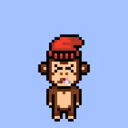 Cool Monkes Trainer #3485